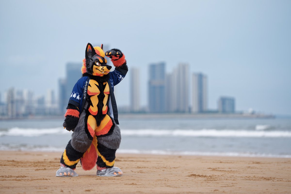 Fat_Mame_Bean's tweet photo. Look look

📷@tannfoto 

#FursuitFriday https://t.co/Kbga16XM3a