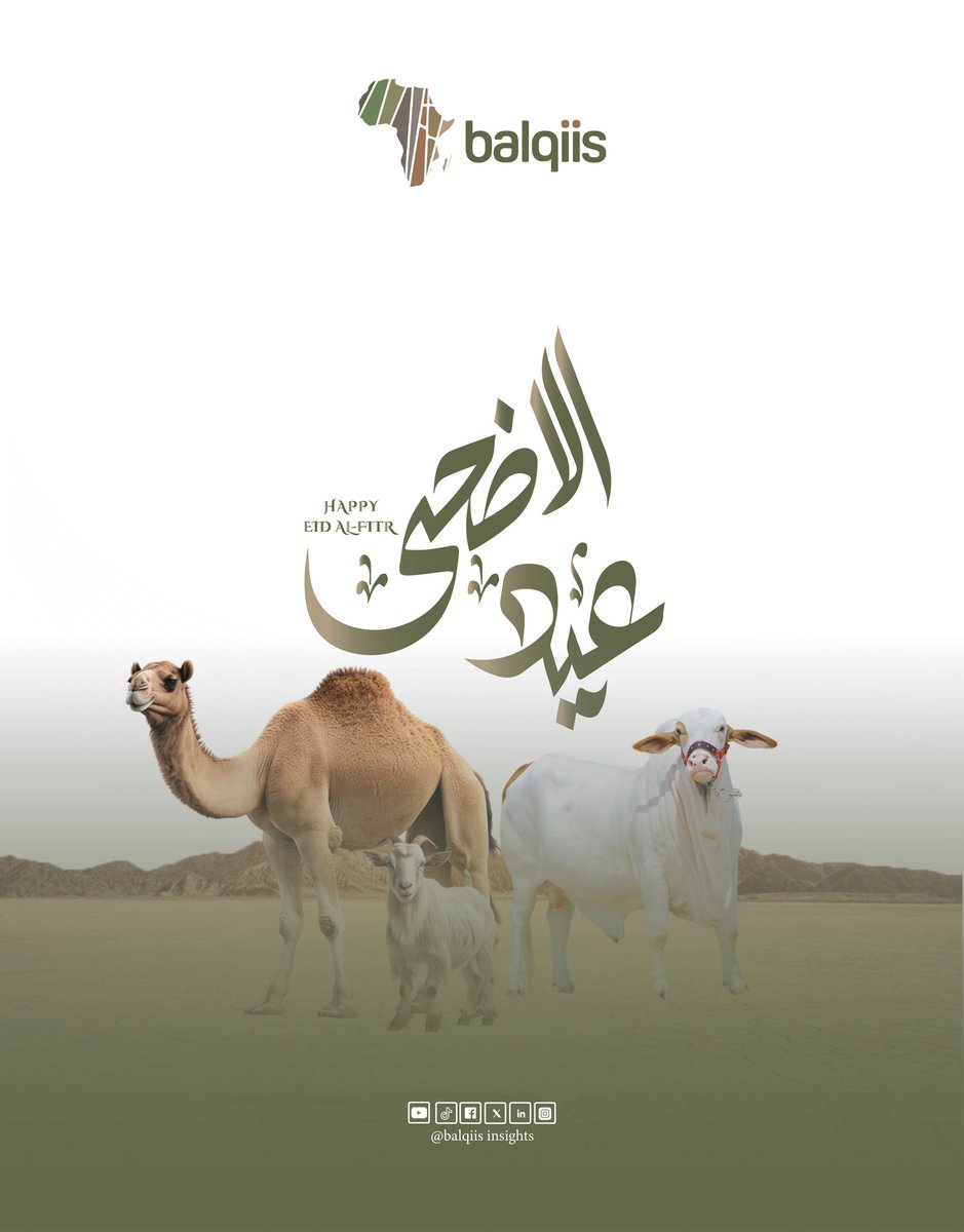 Balqiis Insights (@balqiisinsights) on Twitter photo 🌙 Eid Mubarak!
<a href="/BalqiisInsights/">Balqiis Insights</a> extends warm wishes to all Muslims around the world, especially the Somali people, on this blessed Eid Al-Adha.
May your sacrifices be accepted and your days filled with peace and prosperity.
#EidAlAdha #EidMubarak #BalqiisInsights 🌙 Eid Mubarak!
<a href="/BalqiisInsights/">Balqiis Insights</a> extends warm wishes to all Muslims around the world, especially the Somali people, on this blessed Eid Al-Adha.
May your sacrifices be accepted and your days filled with peace and prosperity.
#EidAlAdha #EidMubarak #BalqiisInsights