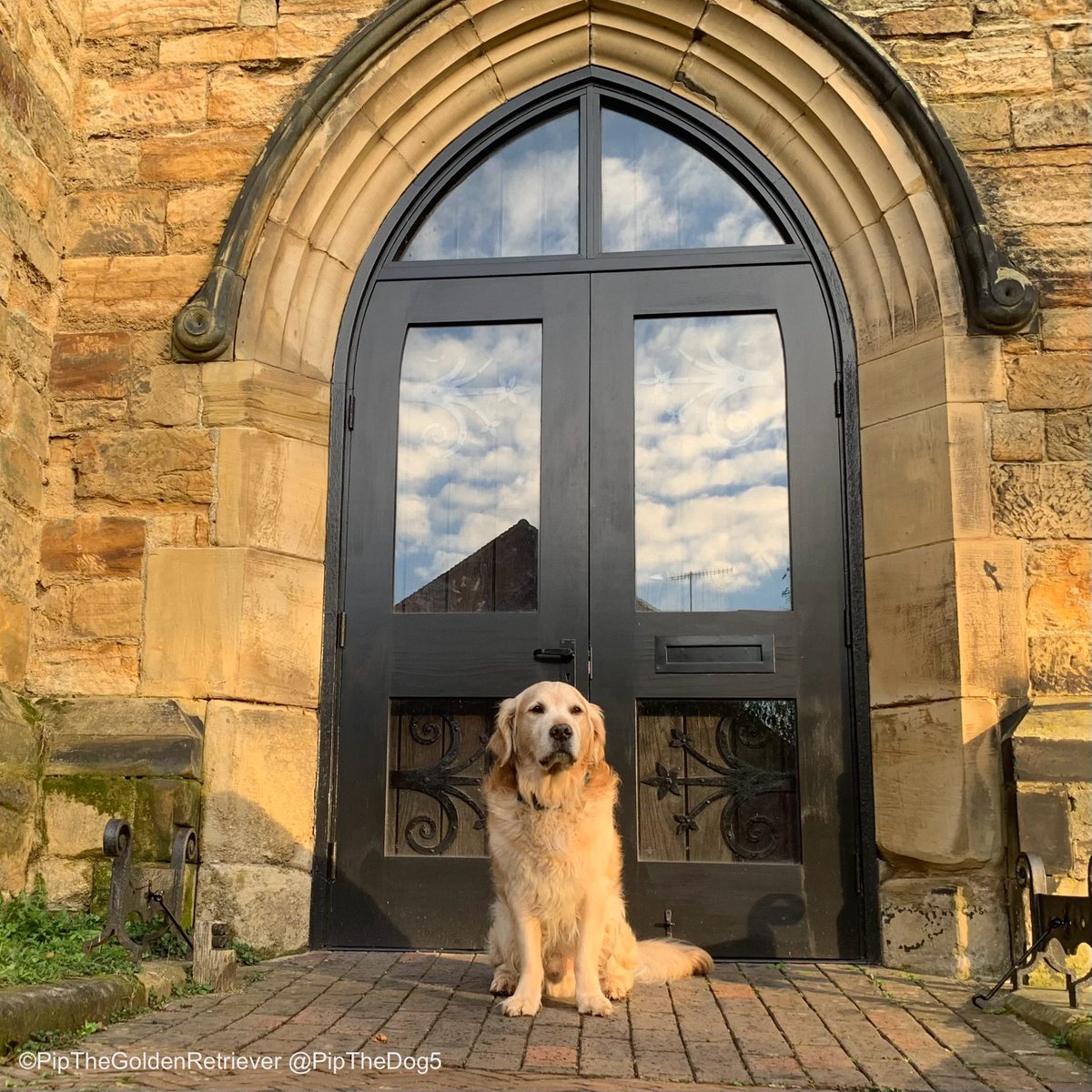 🌤️🐶⛪️

Reflections of the way life used to be.

#ThrowbackThursday (Picture: Church of St Peter and St Paul, Tonbridge 2022) ⏳