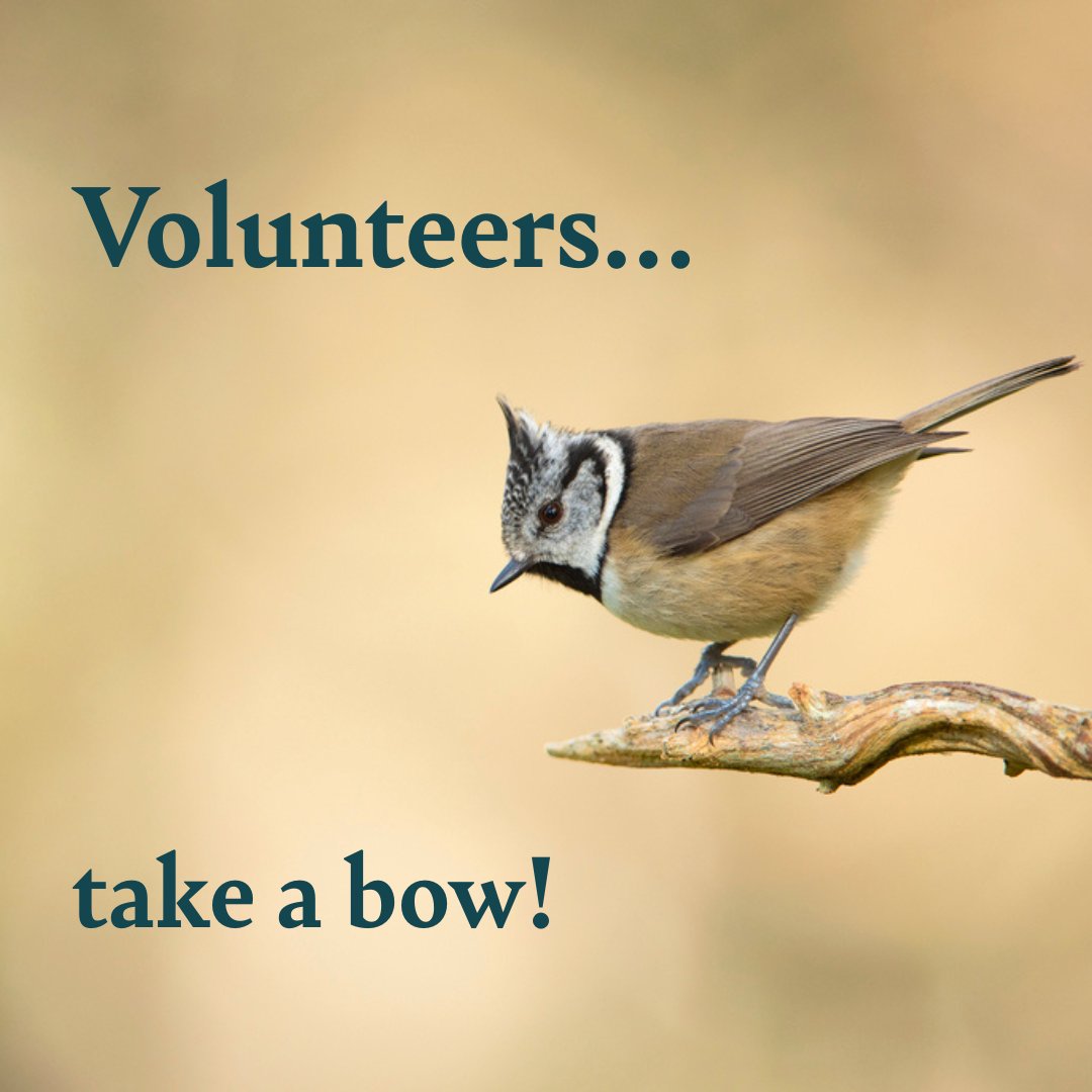 For all your incredible work for the birds, the beasties, the trees, the sand dunes, the peatlands...for the early mornings, the late nights, the mucky clothes and the endless commitment. 

You are amazing💚
#VolunteersWeek2025 

rspb.org.uk/volunteering
