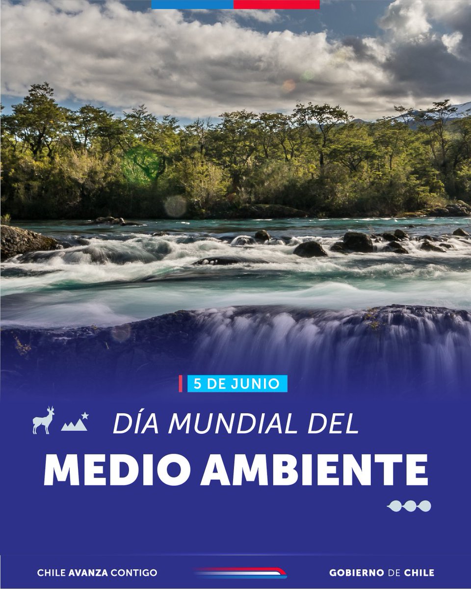 🌎 El cuidado de nuestro planeta es urgente. En el Día Mundial del Medioambiente es importante reflexionar sobre la imperante necesidad de proteger los ecosistemas, la biodiversidad y los recursos naturales. 

¡Cuidarnos a nosotros mismos también es proteger nuestro planeta! 🌳🏞️