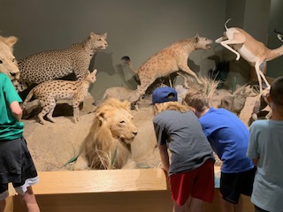 3rd Grade Field Trip <a href="/PalmyraSchools/">Palmyra Area SD</a> <a href="/PASD_Elem_PTO/">Palmyra Elementary PTO</a> #thankyouPTO