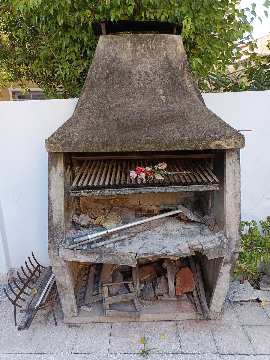 Ha caído en cumplimiento de su deber, la despedimos luego de cuatro décadas gloriosas. Amén.