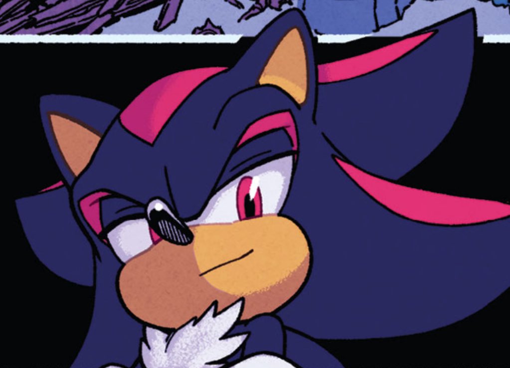 KUshadsthehedge's tweet photo. shadow and his little smirks, eek i love him https://t.co/jQt1AROvH2
