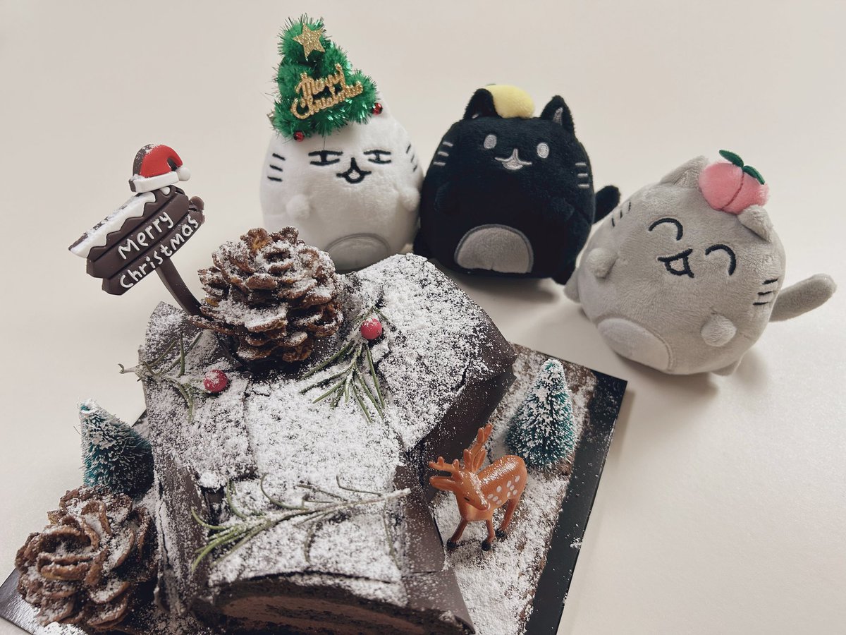 🤍뭉주니 생일 맞이 이벤트🤍

울 쭈니 생일을 맞아 이벤트를 엽니다아아🫶
미개봉으로 보관 중이며, 보낼 때 하나씩 꺼내서 총 3분께 드릴게요오오💓
(제가 2개 삿거든요 홀홀)

🤍 참여 조건 : 캐럿💎
🤍 증정 상품 : 열닫잠 인형(랜덤)
🤍 당첨 인원 : 3명 
🤍 당첨 발표 : 주니 생일💓
🤍 참여