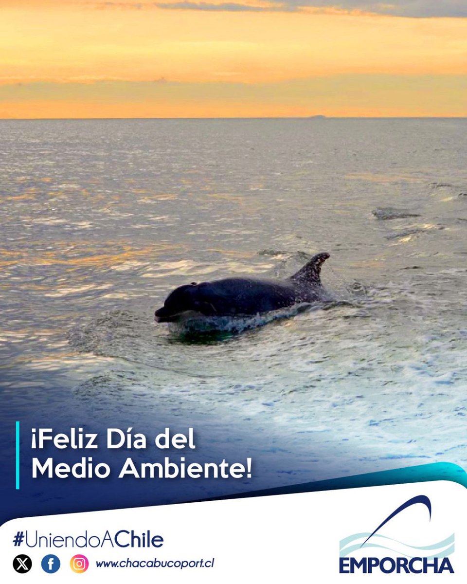Hoy celebramos el #DíaMundialdelMedioAmbiente. 

¡Es un buen momento para reflexionar sobre nuestras acciones y cómo podemos ser más sostenibles!

Desde la #patagonia comprometidos con el Medio Ambiente!