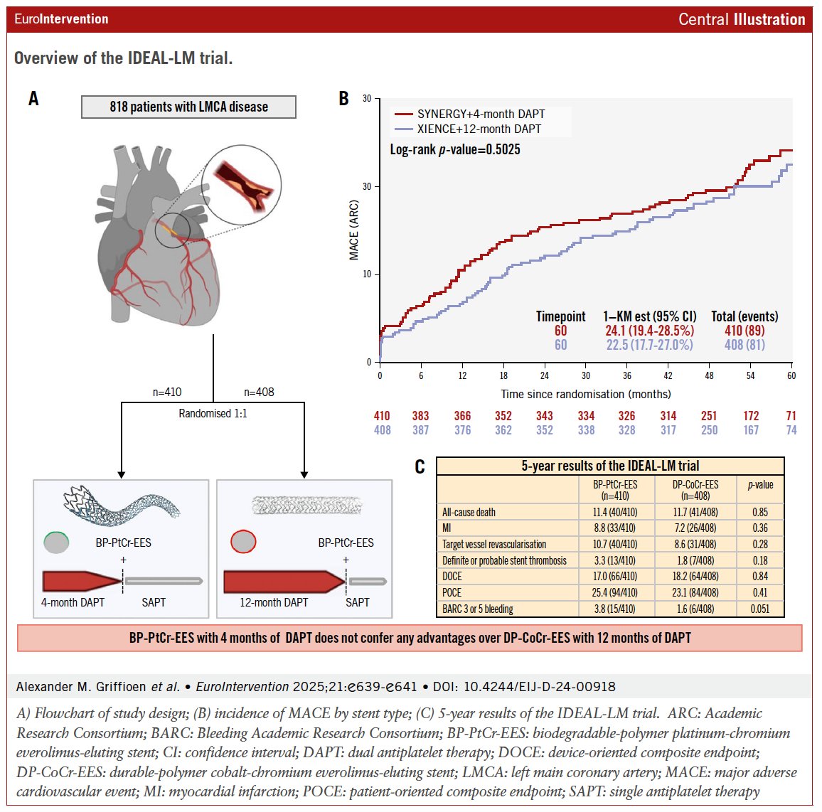 IDEAL-LM 5-year results: In patients undergoing PCI for left main disease, biodegradable-polymer DES + 4mo DAPT showed no advantage over durable-polymer DES + 12mo DAPT. MACE, MI, TVR, and ST rates were similar. #EAPCI #LMPCI #DES #DAPT 
ow.ly/W1QI50W4OXj