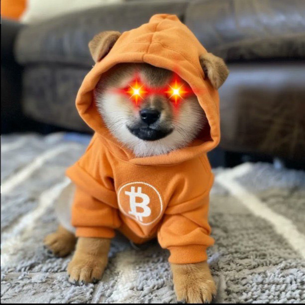 Who let the $DOGs out? 

Considering that $DOGs are running rampant on Starknet now with Rune June, there's no better time to announce the CarmineDAO Rune pool on <a href="/vesuxyz/">Vesu</a>

Your one stop to put your $DOGs to work on Starknet!

This is all you, folks. You asked for it and now
