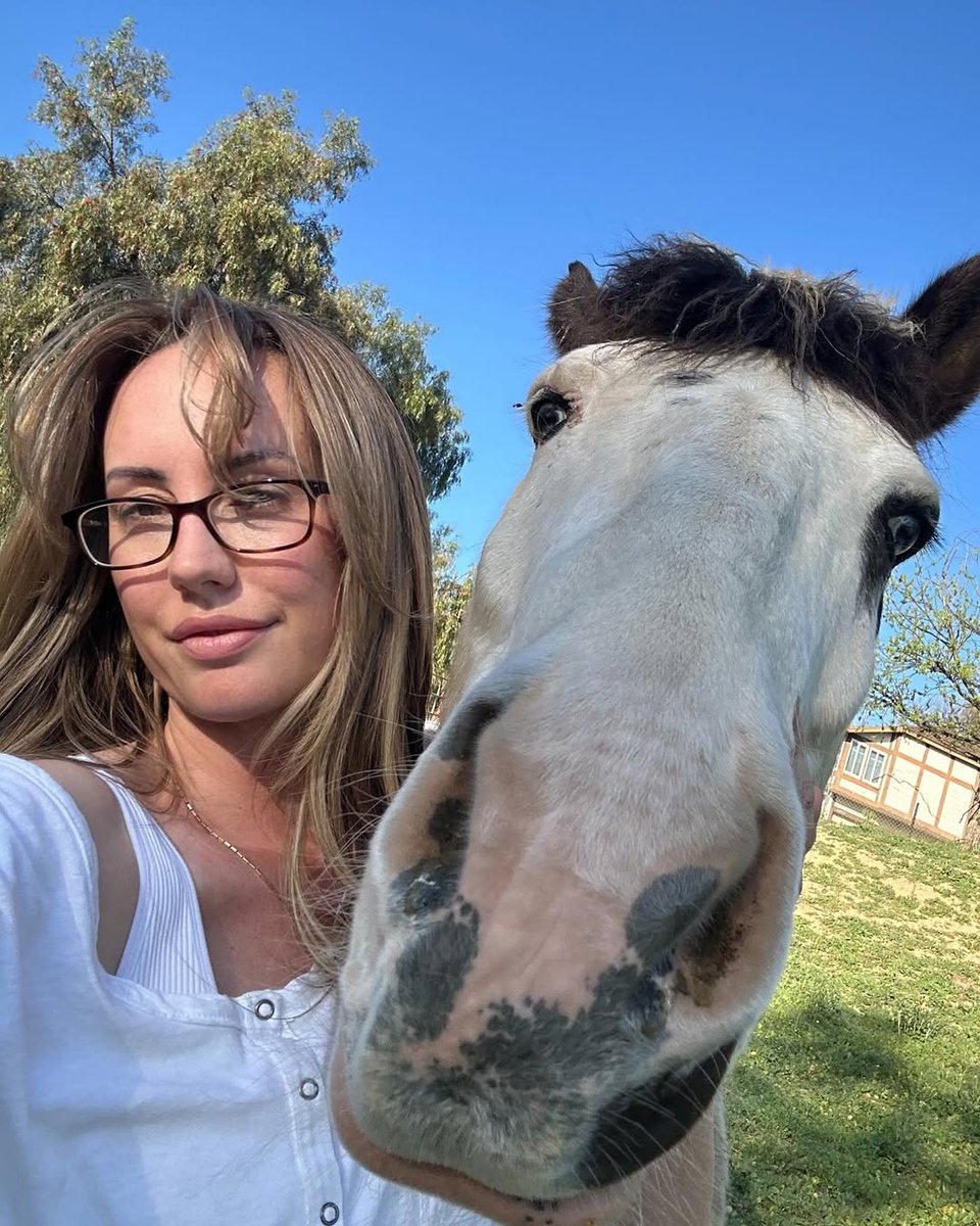 Ponies 🐴 💌 🐴