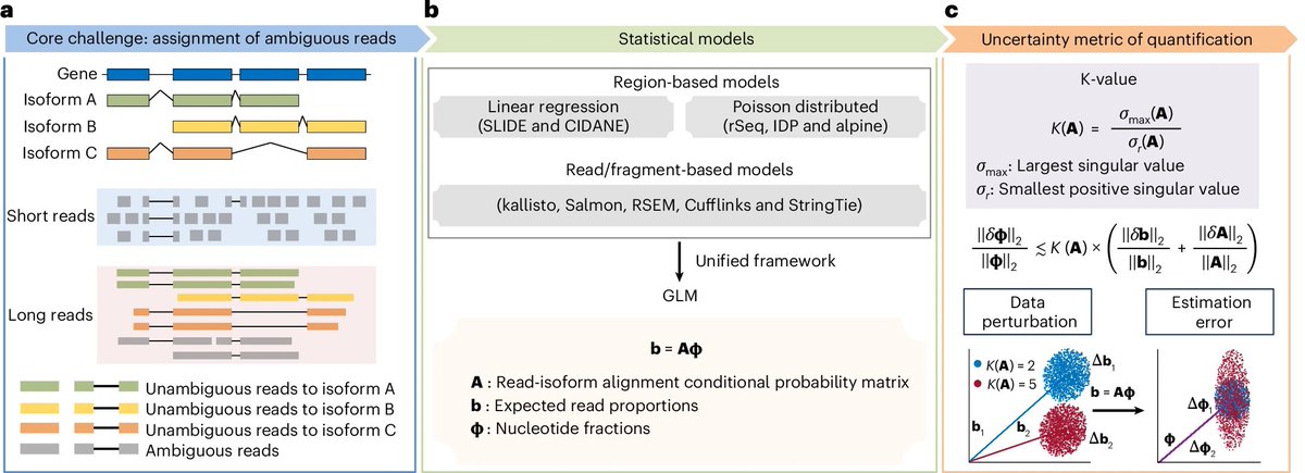 MiniQuant Uses K-Value to Improve Gene Isoform Quantification for ...
