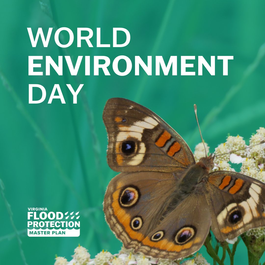 Protecting Virginia’s natural environment is key to the creation of the VFPMP by prioritizing:  
🍃 Reducing flood impacts on natural/cultural resources 
🌳 Enhancing the natural environment through flood resilience 

Learn more: dcr.virginia.gov/dam-safety-and… 
#WorldEnvironmentDay 🌍