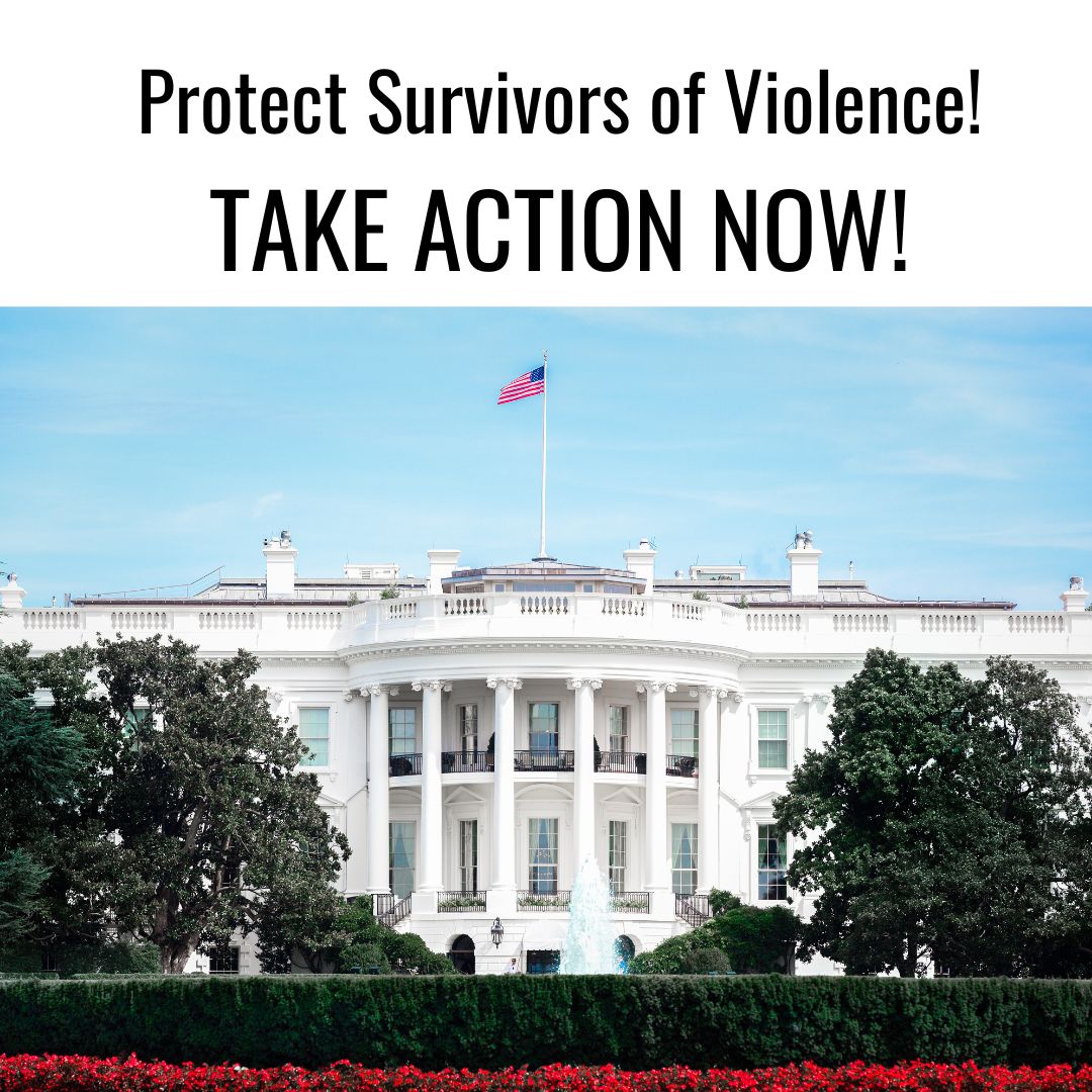 Center For Domestic Peace tweet media