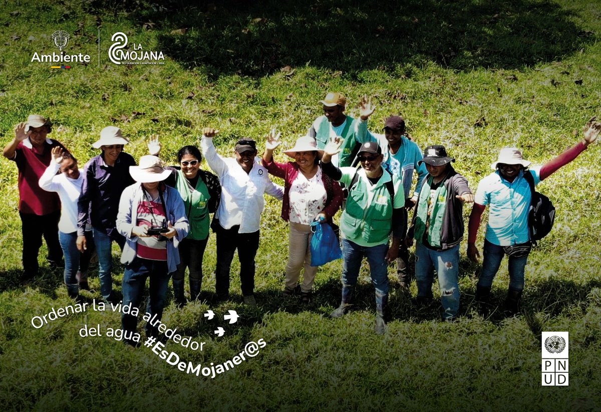 Hoy 8.148 ha de la Mojana cuentan con estrategias de restauración. Meta lograda por comunidades de 13 municipios y 22 organizaciones, que se unieron para liderar y conservar su territorio con conocimiento, esfuerzo y amor ¡Porque ordenar la vida alrededor del agua #EsDeMojaner@s!