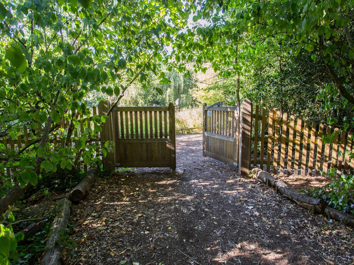 RBKC Ecology tweet media