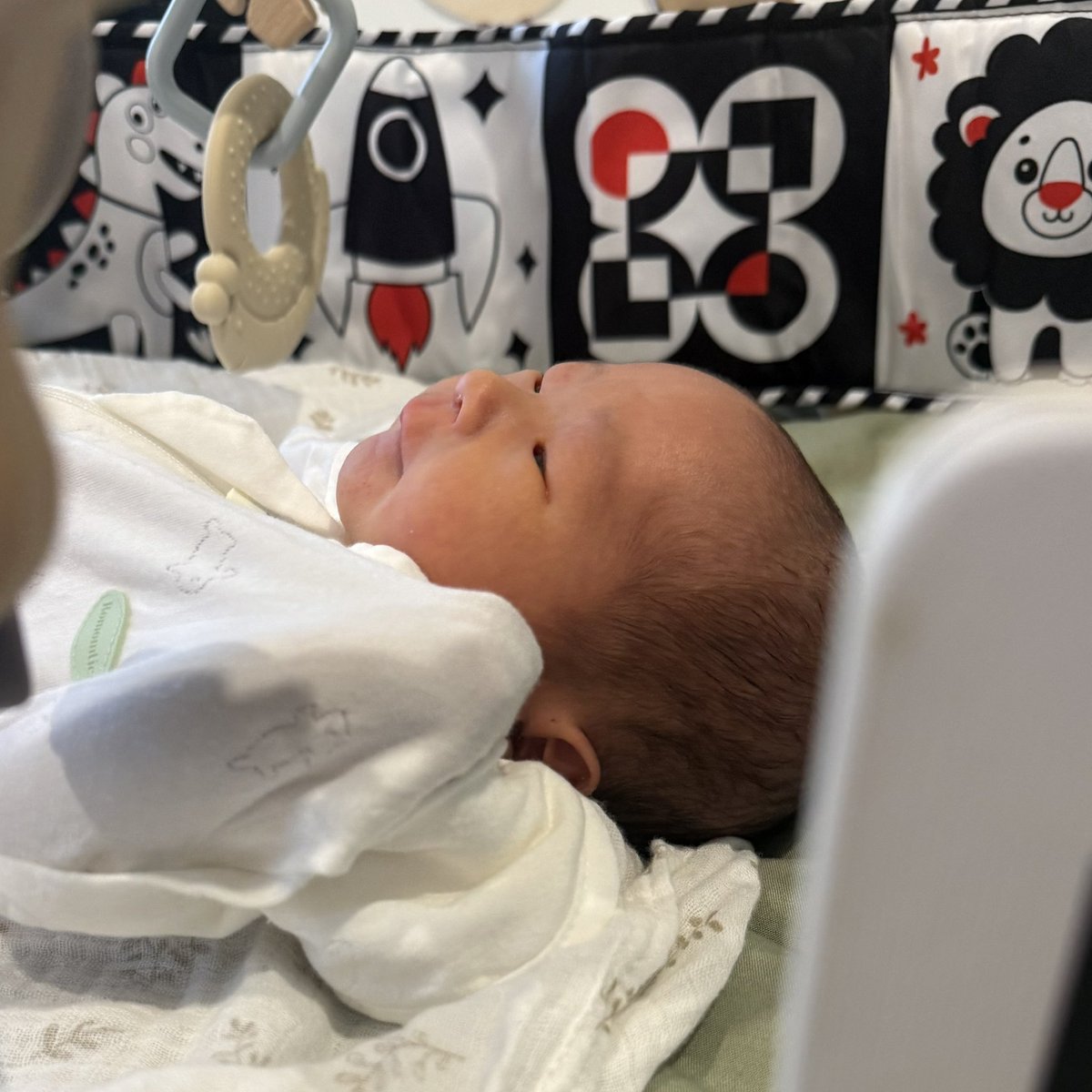 제프리스(Jefferies) Jefferies 법인의 안정성.lun