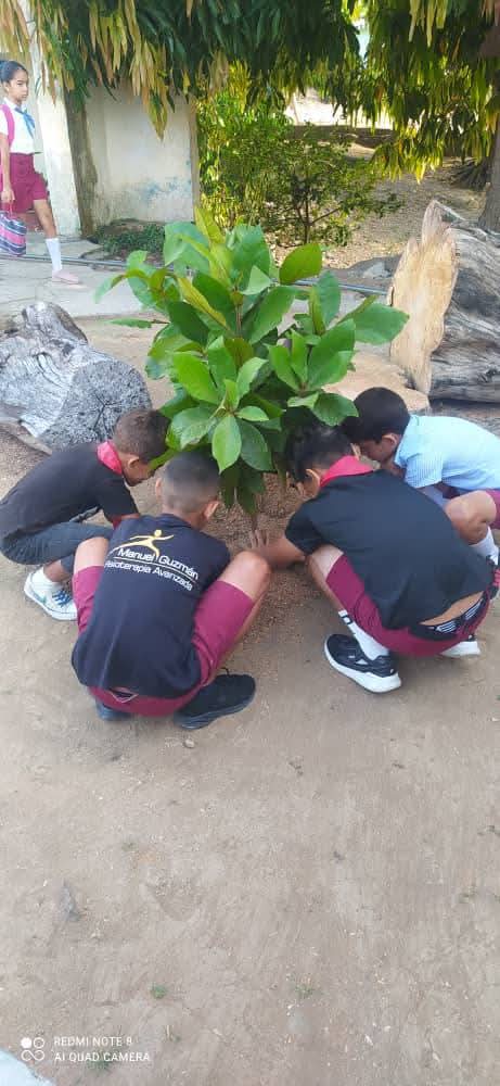 🇨🇺 Los educando de la <a href="/CeliaTercer/">Primaria Celia Sanchez Manduley Tercer Frente</a> siembran un árbol 64 aniversario de la <a href="/OPJMCuba/">OPJM Cuba</a> #José Martí y en saludo al Congreso Nacional.
Mi Historia Crecerá.
 #TercerFrente #SantiagoDeCuba <a href="/dpestgo/">DGE Santiago de Cuba</a> <a href="/FrenteDme/">DGE Tercer Frente</a>