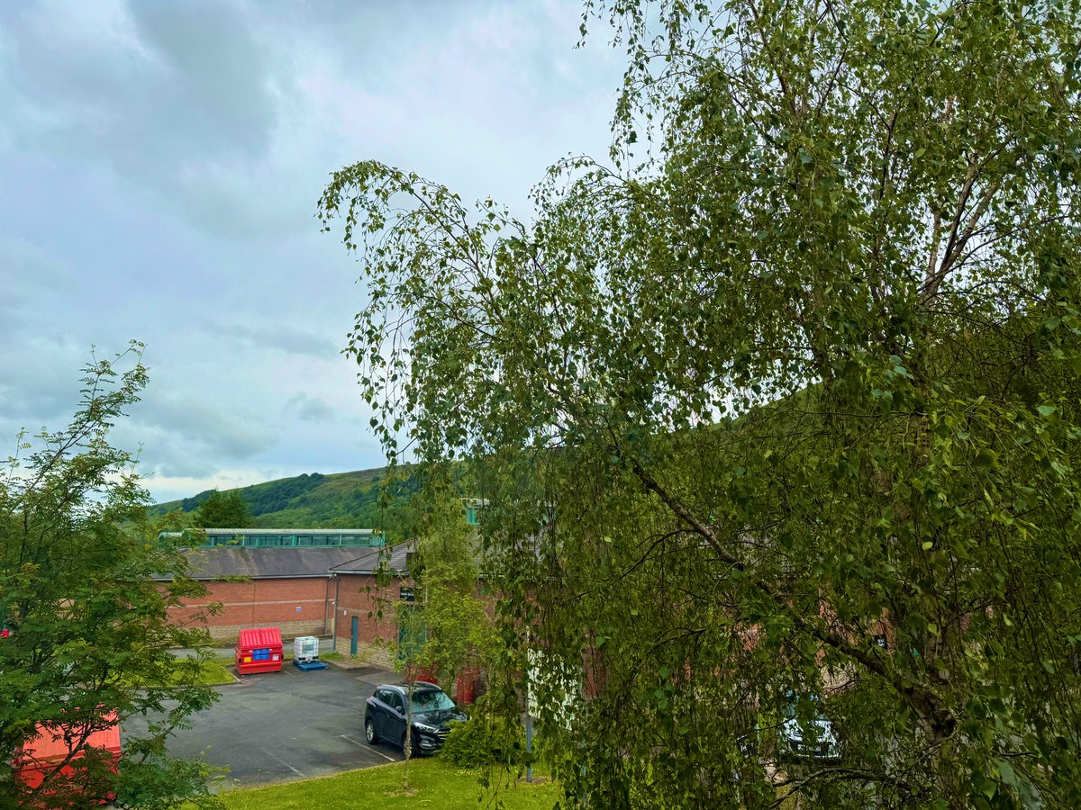 David Ison tweet media