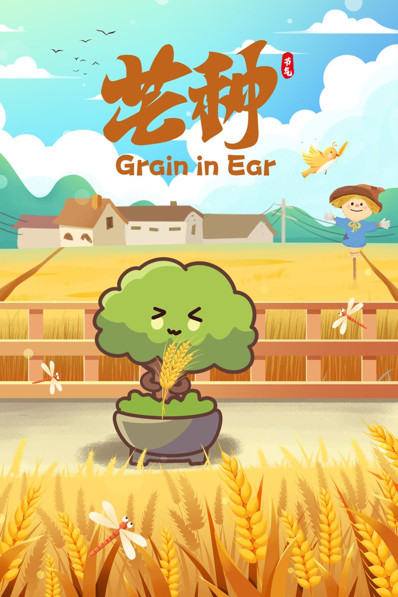 Today is Grain in Ear (芒种)! 🌾 The 9th solar term marks wheat harvest and rice planting season - ancient agricultural wisdom in action! In Rugao, Jiangsu, our farmers follow these timeless rhythms, creating the abundance that makes us the "City of Longevity." Visit and witness