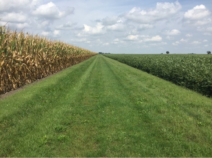 Día del Ambiente
Con populismo//Con capitalismo: