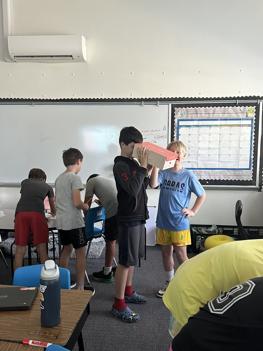 Investigating whether larger eyes affect a flying squirrels ability to see in the dark.