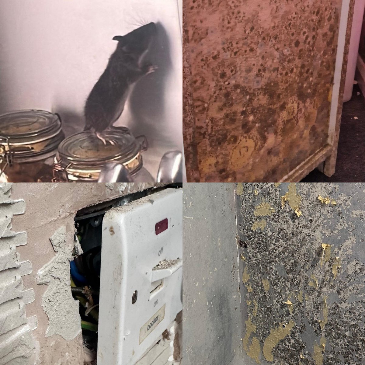 Middleton Tenants (@middtenants) on Twitter photo Mould, leaks, rats — this is what <a href="/RiversideUK/">Riverside Group</a> tenants are living with. We’ve reported it. We’ve waited. Still nothing.
We deserve safe homes. Fix it now. 🏚✊
#RiversideHousing #HousingCrisis #FixOurHomes #TenantsDeserveBetter Mould, leaks, rats — this is what <a href="/RiversideUK/">Riverside Group</a> tenants are living with. We’ve reported it. We’ve waited. Still nothing.
We deserve safe homes. Fix it now. 🏚✊
#RiversideHousing #HousingCrisis #FixOurHomes #TenantsDeserveBetter