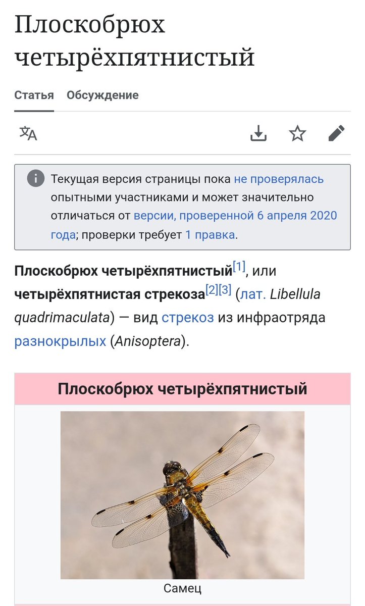 я вышла на балкон чтобы протереть подоконник от дождя, повернула голову и ОБОСРАЛАСЬ НАХУЙ с этого вот выблядка который видимо намок и пришел погреться🪰