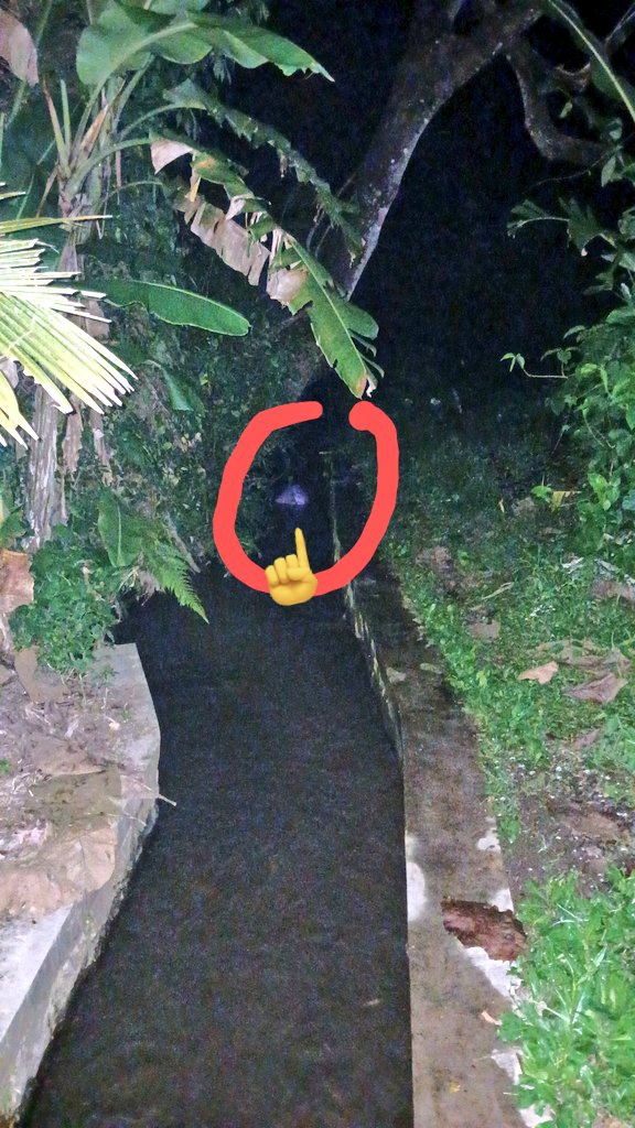 Malam min <a href="/merapi_uncover/">Merapi Uncover</a> JANGAN DITIRU !! malam ini sy lihat ada mas2 yg buang sampah di saluran air dsn Barak, Seyegan. Saya lihat dr kejauhan dia buang sampah lalu tancap gas. Mohon maaf ga sempat memungut sampahnya karena udah sampe jauh, gelap, licin dan banyak semak belukar