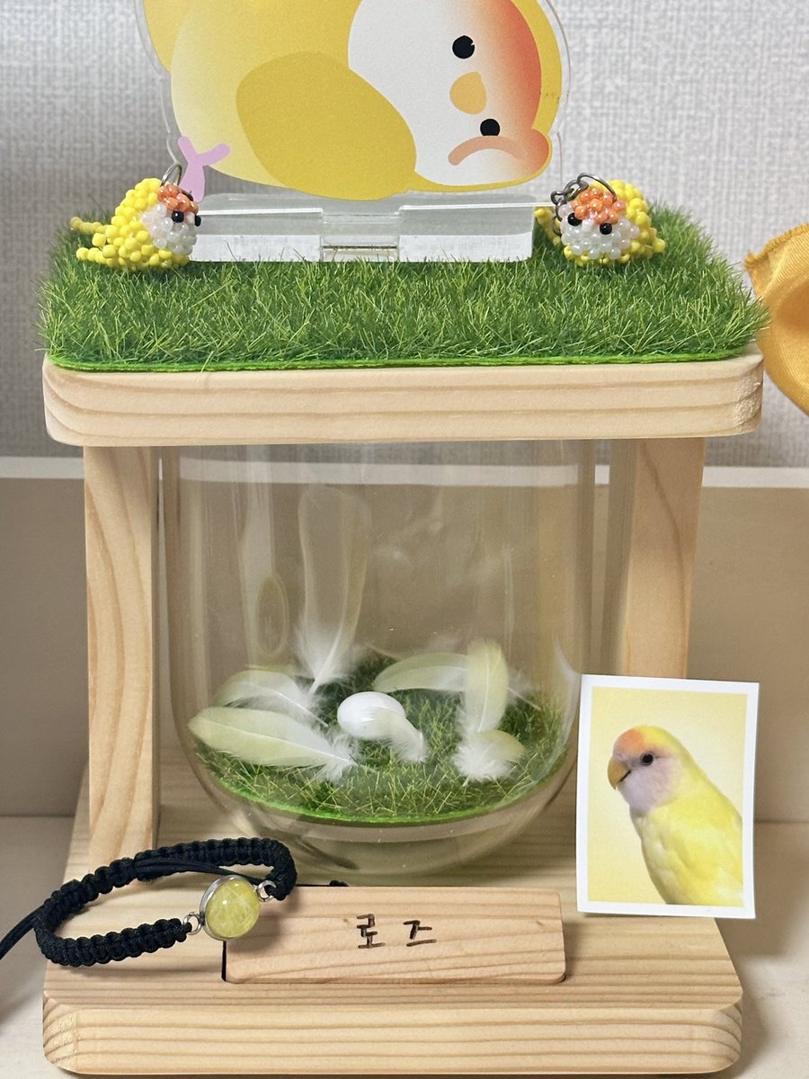 요즘 반려동물 털팔찌를 만들고 있어요!
추후에 저렴한 가격으로 아이디어스 입점도
노리는 중 입니다!! 실 추가 구매 후 이벤트 해서
선물로 만들어드리려고 하는데 관심 주세요..🫶🏻