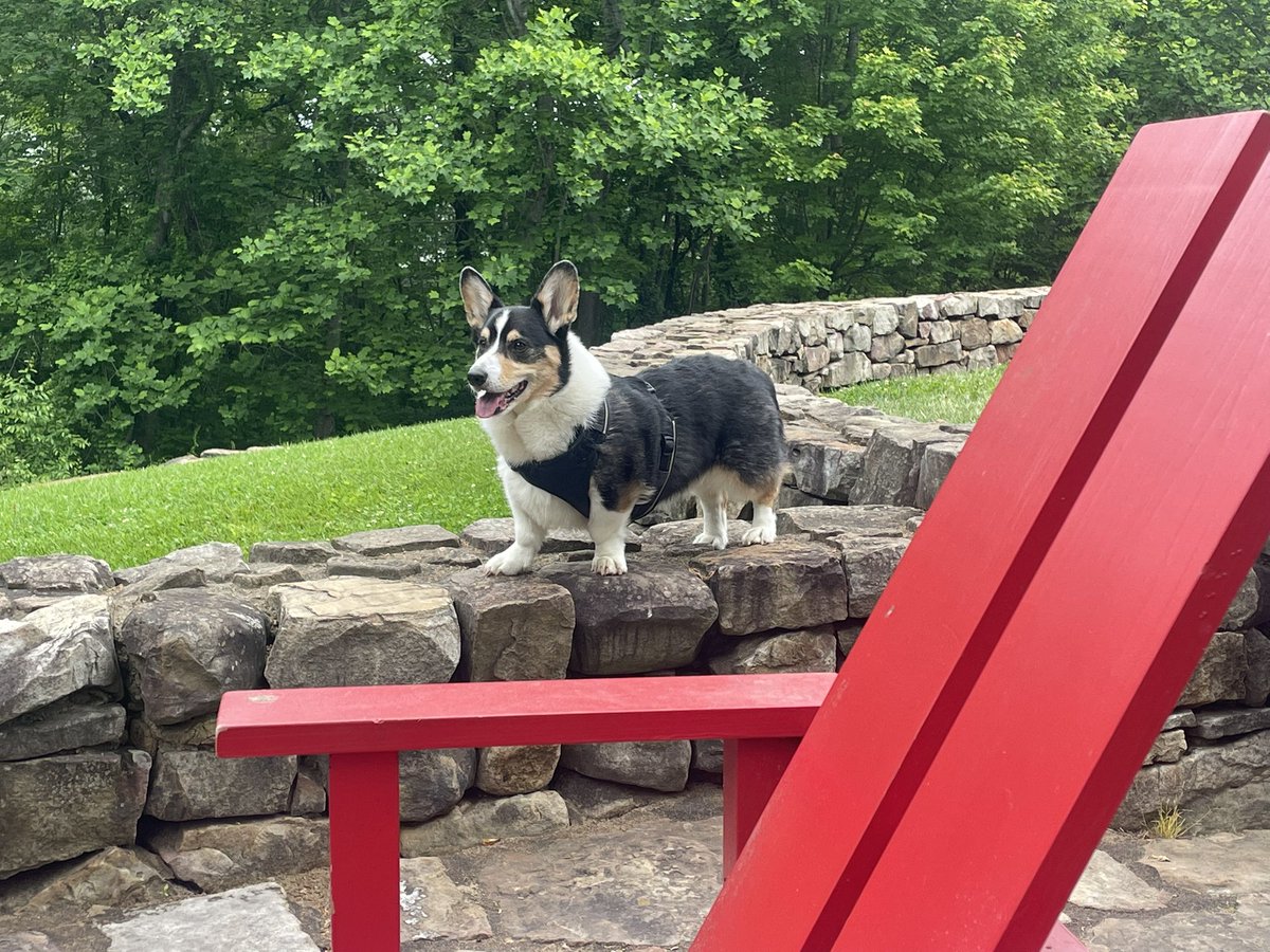 Michelle Barker tweet media