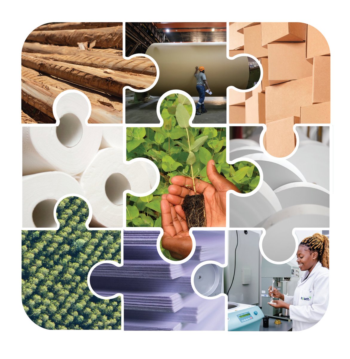 paperrocksza tweet media