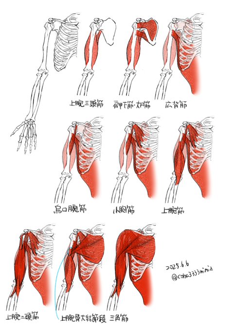 まじめにやってます本当です 