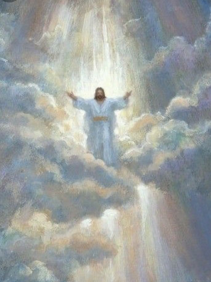 TheMouthyBuddha's tweet photo. King of Kings https://t.co/nPNtSSrX15