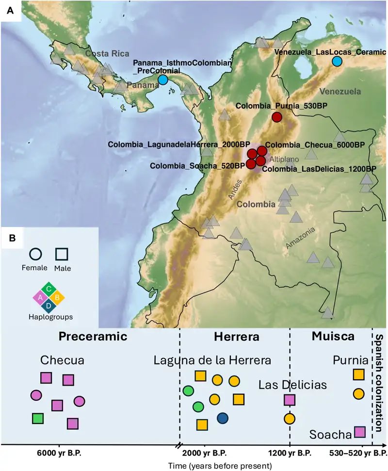 Historia de Colombia (@colombia_hist) on Twitter photo Descubren rastros de una misteriosa población humana antigua que habitó colombia hace aproximadamente 6000 años
historia.nationalgeographic.com.es/a/descubren-ra…
Comparte <a href="/JABP008/">Andrés Balaguera Preuss</a> Descubren rastros de una misteriosa población humana antigua que habitó colombia hace aproximadamente 6000 años
historia.nationalgeographic.com.es/a/descubren-ra…
Comparte <a href="/JABP008/">Andrés Balaguera Preuss</a>