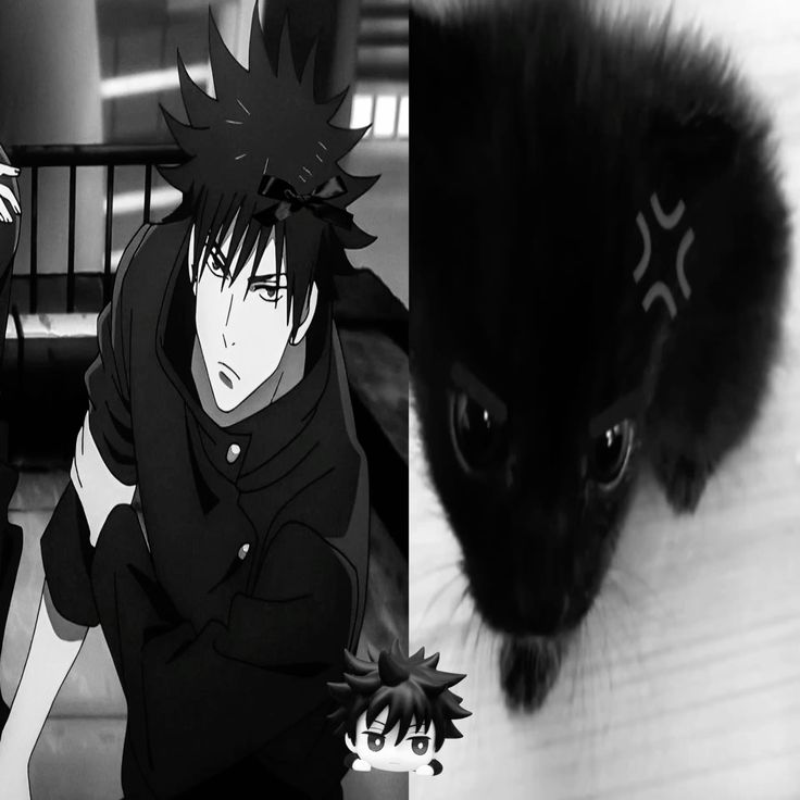 good morning, I can't stop thinking of cat itafushi