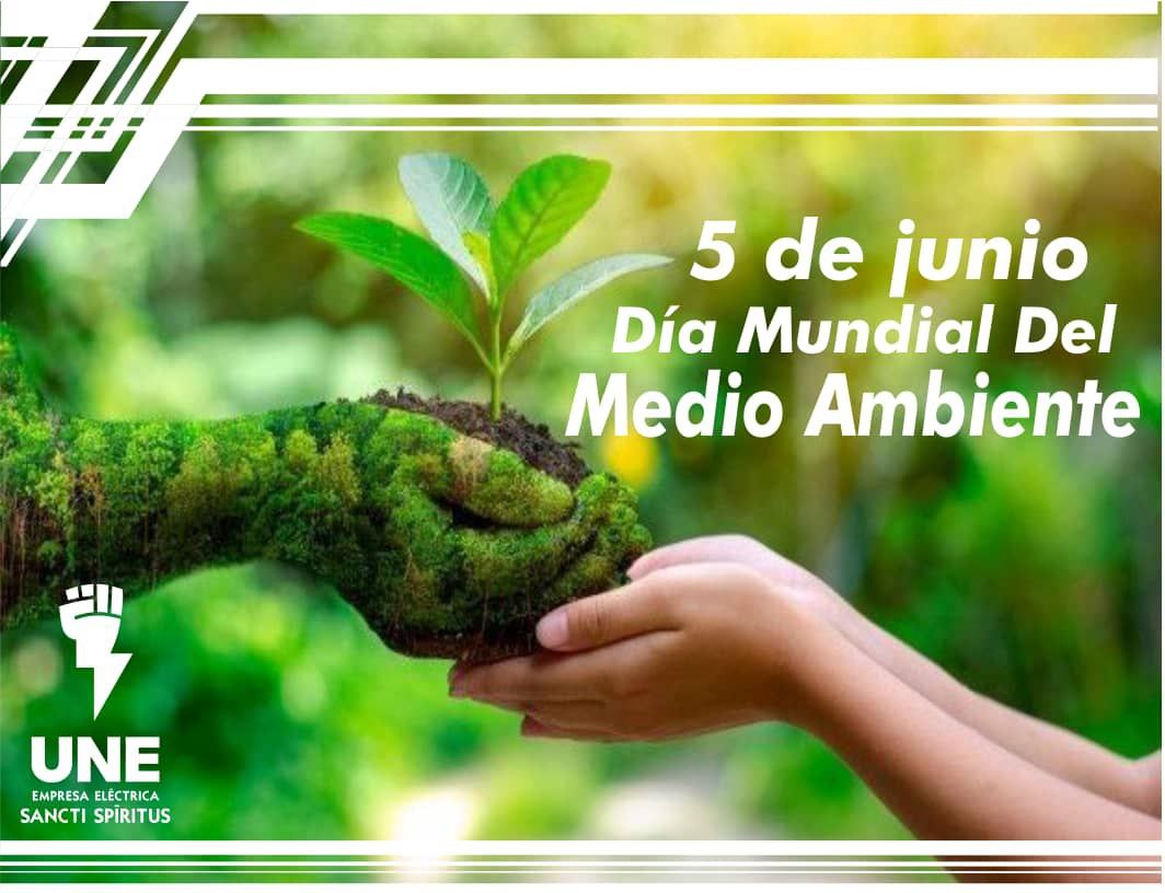 EdelPumarada's tweet photo. 🌳El Día Mundial del Medio Ambiente se celebra el 5 de junio para concienciar sobre la importancia de proteger nuestro entorno y promover acciones que ayuden a conservarlo.#Cabaiguán
,#CabaiguánEduca,#SanctiSpíritusEnMarcha https://t.co/pJAHh4D4xs
