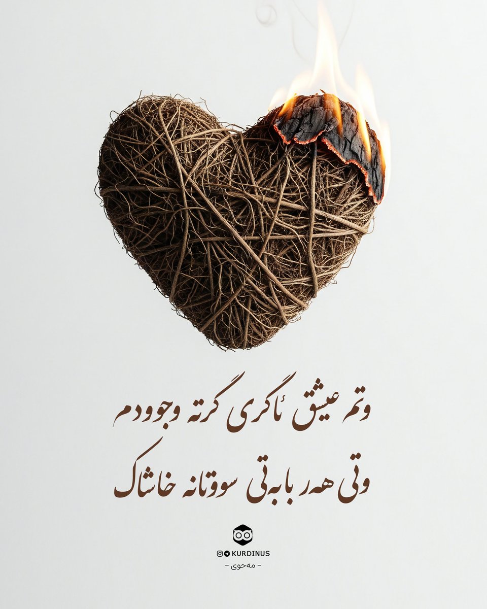 وتم عیشق ئاگری گرتە وجوودم
وتی هەر بابەتی سووتانە خاشاک