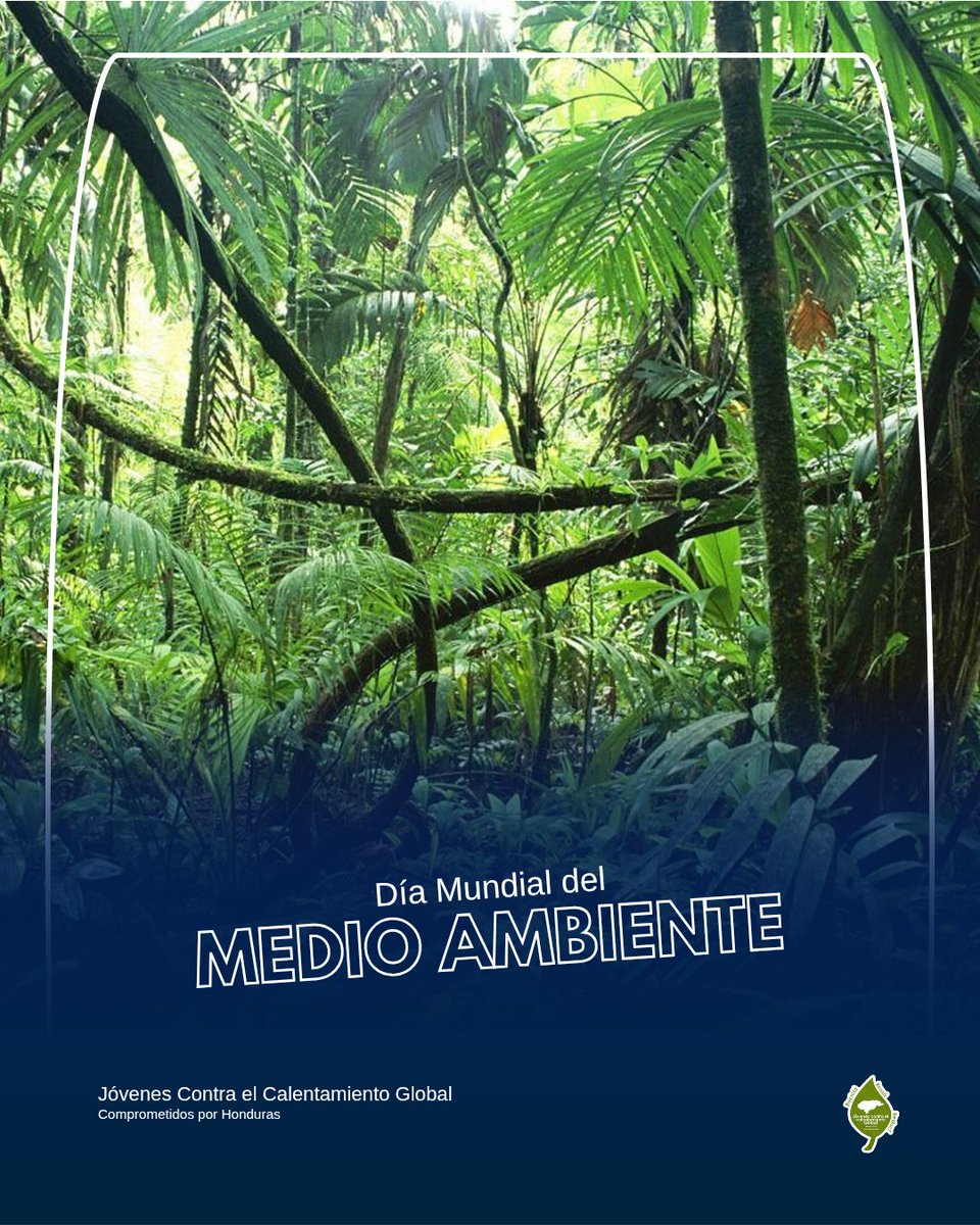 ¡Somos uno con el Medio Ambiente!
Cada año la contaminación y el daño ambiental son más significativos, es urgente tomar acciones para disminuir estos problemas que afectan tu salud y entorno. 
¡Tomá acción! Cuando cuidas el medio ambiente, cuidas de vos mismo #EconomiaCircular♻️