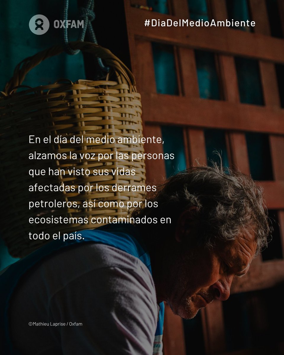 Hoy es el #DíaDelMedioAmbiente, pero ¿qué celebramos si el Perú ha tenido 1,460 derrames de petróleo desde 1997?

🌊 El 57% ocurrió en territorios indígenas.
🧪 73% por fallas operativas o corrosión.

Sin justicia ambiental, no hay futuro.
#NoMásDerrames #JusticiaAmbiental