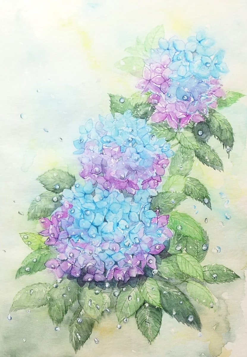 yoshikawamizue's tweet photo. 少し描き足しました

透明水彩 https://t.co/VkfpqRbqCx