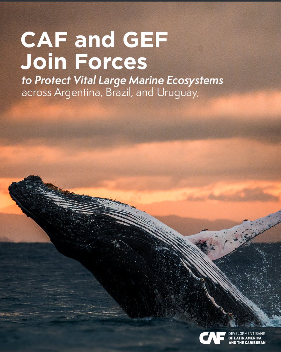 CAF (@agendacaf) on Twitter photo CAF and the Global Environment Facility (<a href="/theGEF/">Global Environment Facility (GEF)</a>) are joining efforts to protect key marine ecosystems in the Southwest Atlantic.
This project supports Argentina 🇦🇷, Brazil 🇧🇷, and Uruguay 🇺🇾 in promoting sustainable fisheries, marine biodiversity, and regional cooperation. CAF and the Global Environment Facility (<a href="/theGEF/">Global Environment Facility (GEF)</a>) are joining efforts to protect key marine ecosystems in the Southwest Atlantic.
This project supports Argentina 🇦🇷, Brazil 🇧🇷, and Uruguay 🇺🇾 in promoting sustainable fisheries, marine biodiversity, and regional cooperation.