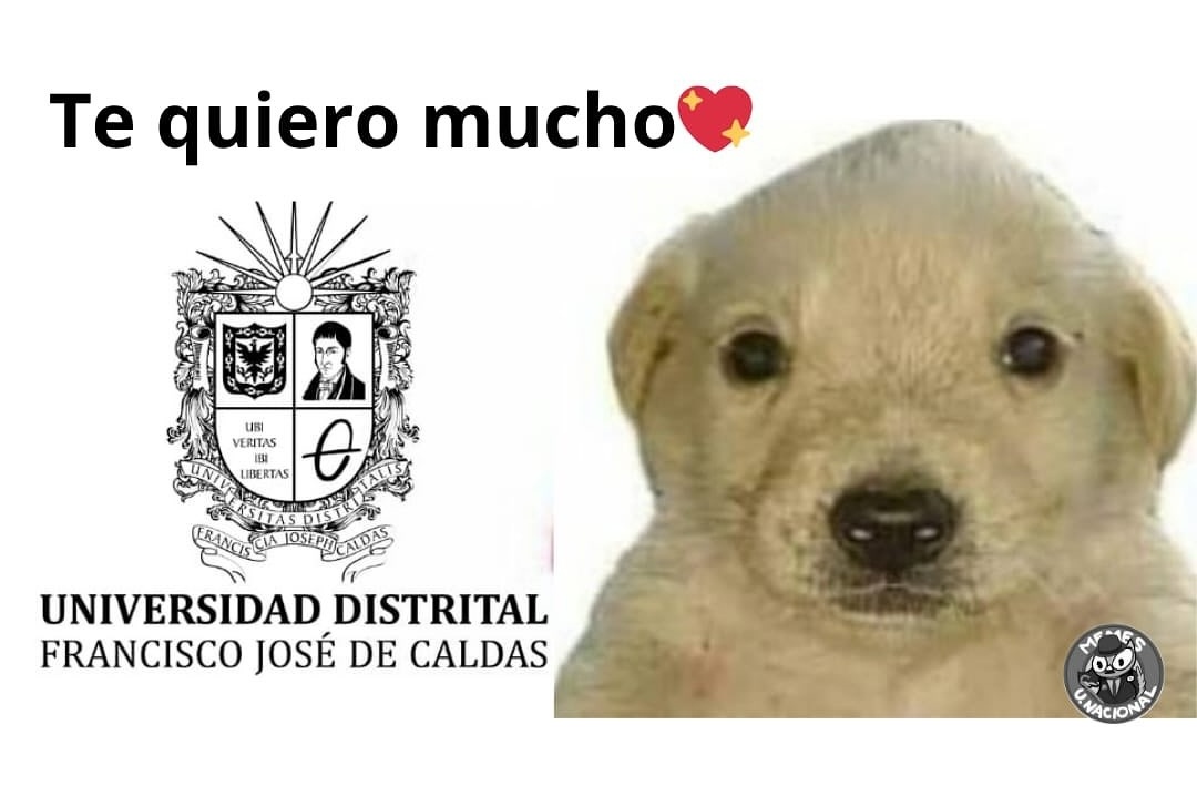 lauramontanez97's tweet photo. https://t.co/4PtOvuGIDO