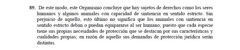 Avelina Ponce tweet media