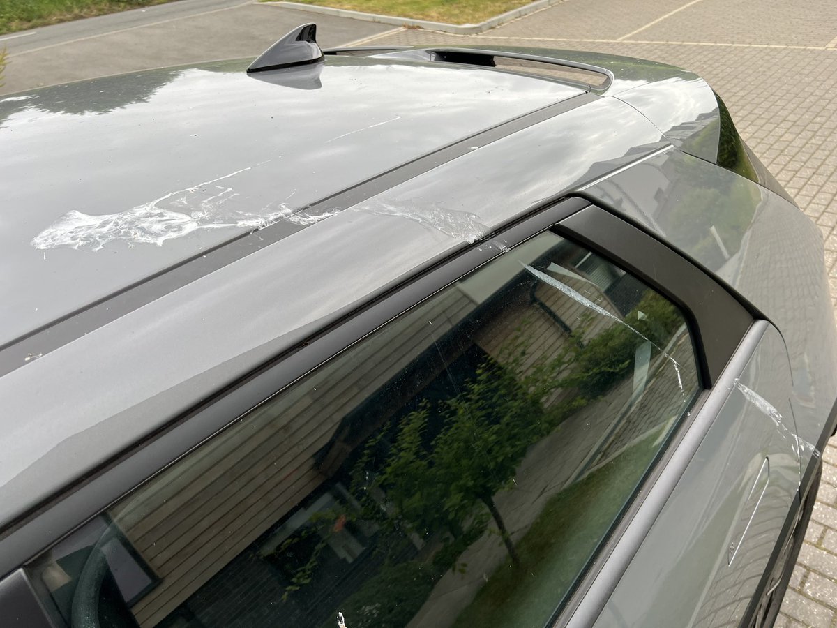 Is this a world record <a href="/GWR/">Guinness World Records</a>? What sort of bird is capable of this?