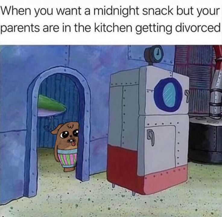 <a href="/elonmusk/">Elon Musk</a> not again 😭