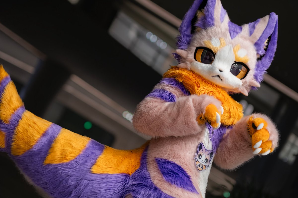 #FursuitFriday 

猫猫拳准备…!!

📸: <a href="/AOI_youyou/">苍又又又 AOI</a>