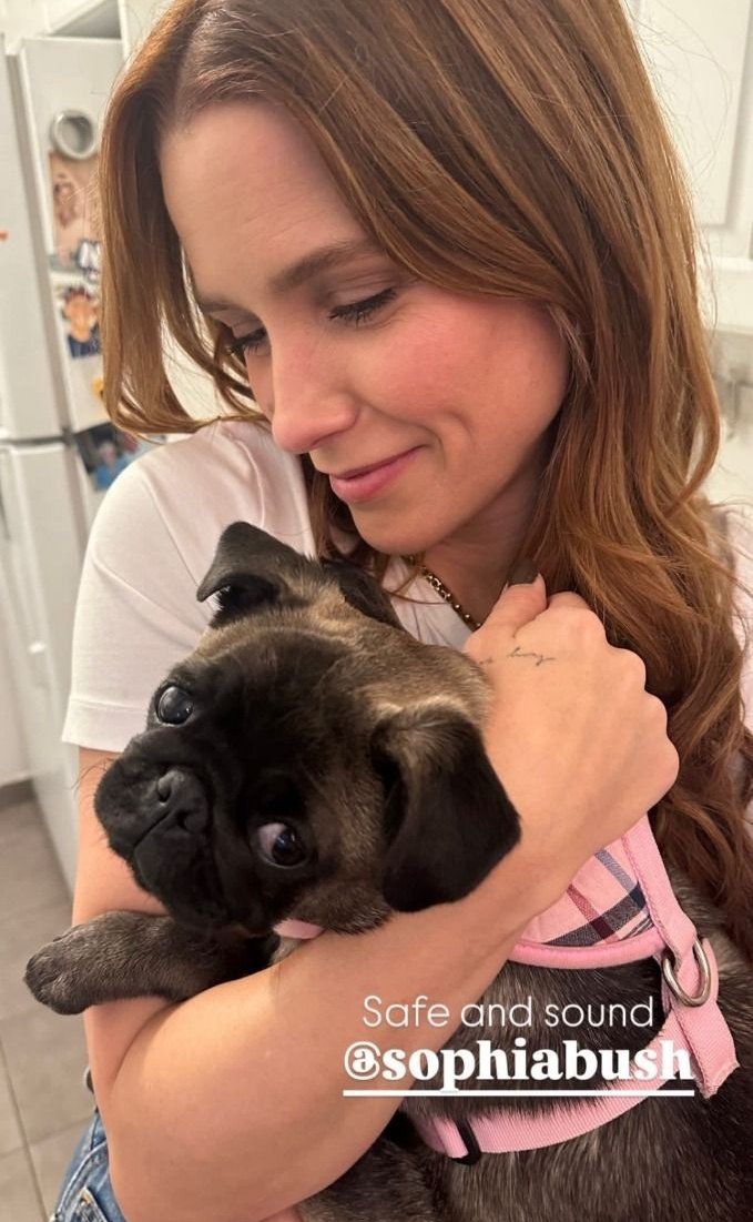 sophia bush archive (@sophiabarchive) on Twitter photo 