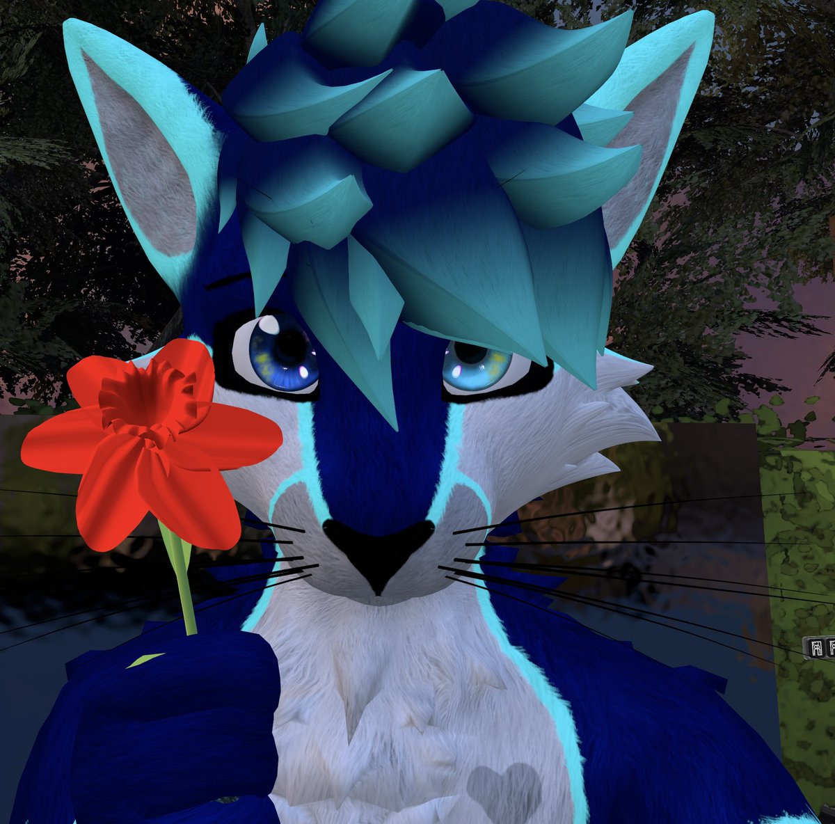 🌺May I give you a flower?🌺