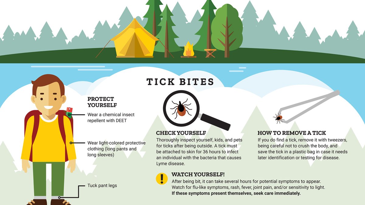 Summer’s full of fun seasons—baseball, biking, camping. But it’s also tick season. Protect yourself by taking precautions against tick bites.