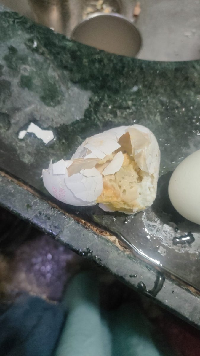 Rajbhar85's tweet photo. @bigbasket_com why can't I Return this rotten product? I have ordered thie product for home in Mumbai. I am in Ahmedabad. Got this pic's from Family and big basket doesn't let me return this rotten egg. You sell these rotten eggs under the banner of Eggoz Nutrition @fssaiindia https://t.co/hAie3qACNB