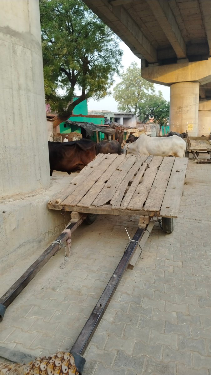 <a href="/ChiefSecy_UP/">Manoj Kumar Singh, IAS, Chief Secretary, UP</a> <a href="/uppwdofficial/">Public Works Department, Uttar Pradesh</a> <a href="/myogioffice/">Yogi Adityanath Office</a> <a href="/Dm_Aligarh/">DM ALIGARH</a> 
Pwd road (dourau chandaus road) in dourau village p.s chandaus district Aligarh,encroached....